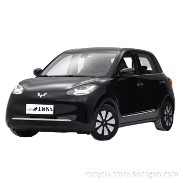 Swing Door Pickup Truck Wuling Bingguo 2023 333km الفرح استمتع بملاح